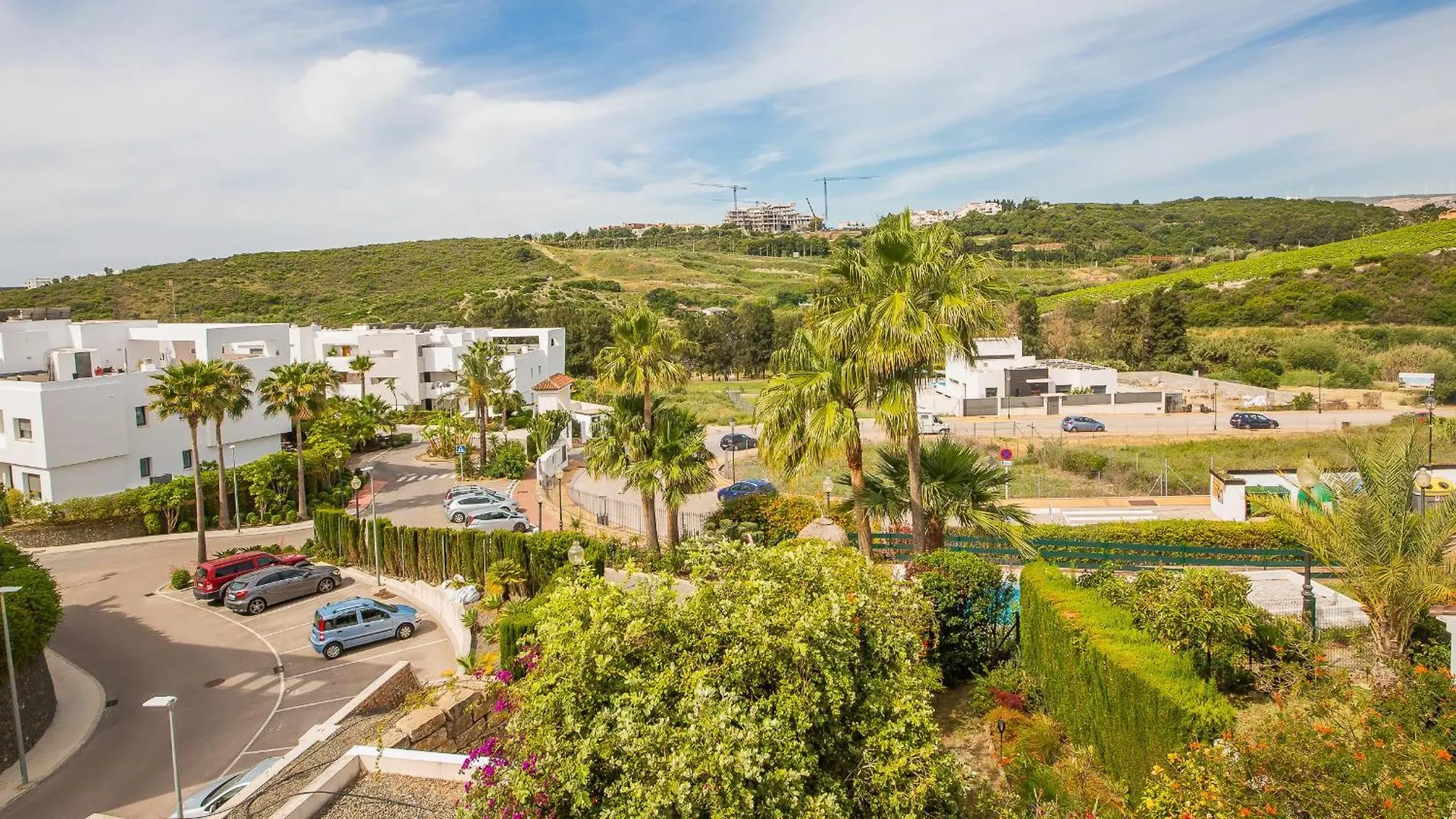 Casares Green 4 1D